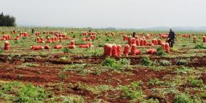 Hatay’da desteklenecek 13 ürün belli oldu