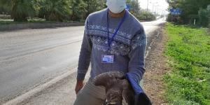 Yaralı şahine polisler sahip çıktı