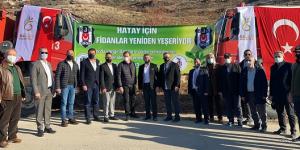 Belen’de yangında zarar gören alana Beşiktaş Kulübü yöneticileri, fidan dikti