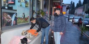 Evden getirdiği şallarla sokakta yatan köpeklerin üzerini örttü