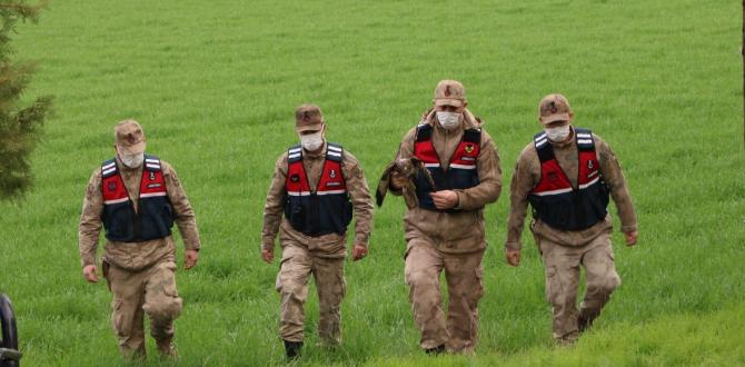 Hatay’da yaralı halde bulunan şahine ilk müdahale jandarmadan