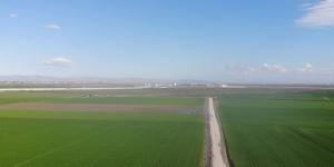 Hatay’da yağışlar, çiftçinin yüzünü güldürdü