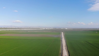 Hatay’da yağışlar, çiftçinin yüzünü güldürdü