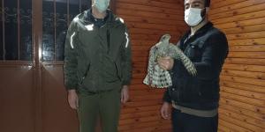 Evinin önünde yaralı atmaca buldu