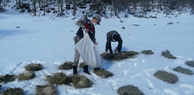 Teröristleri kovaladıkları dağlarda hayvanları unutmadılar