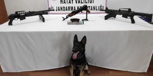 Aile çay bahçesine gömülmüş silahlar bulundu