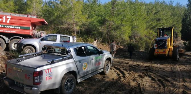 Erzin’de orman yangını büyümeden söndürüldü