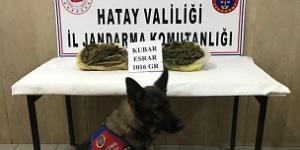Motosikletin heybesinden uyuşturucu çıktı