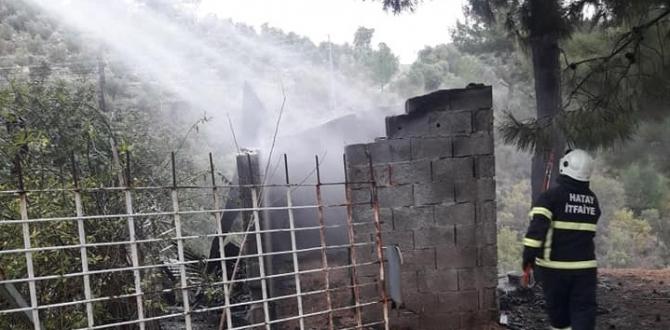 Odunluktaki yangın ormana sıçramadan söndürüldü