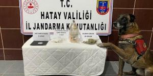 Uyuşturucuyu “Cesur” buldu