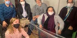 Vekil Çelik Balıkçılar belgeselinde