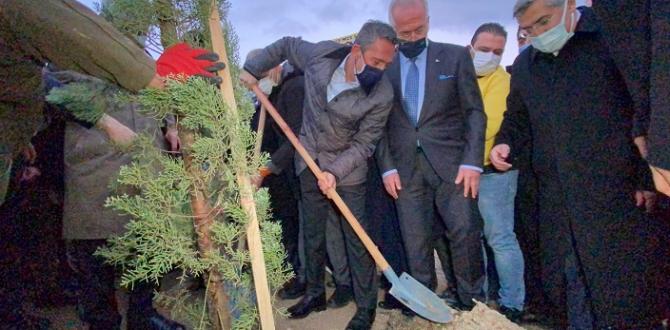 Fenerbahçe, Hatay’ın Belen ilçesinde yanan ormana fidan dikti