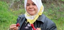 Yılana benzeyen biber çiftçiyi korkuttu