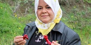 Yılana benzeyen biber çiftçiyi korkuttu