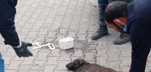Yaralanan köpeğin yardımına sanayi esnafı koştu