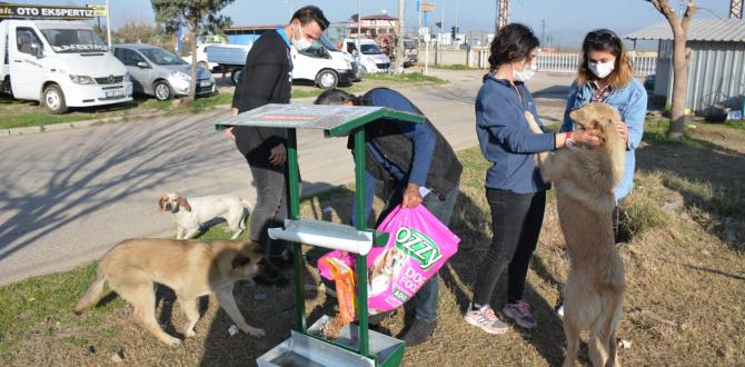 BAŞKAN YAVUZ TORUNU ALP İLE BİRLİKTE SOKAK HAYVANLARINI BESLEDİ