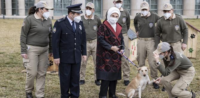 Külliye’deki Atıklar Geri Dönüştürülerek Sokak Hayvanlarına ‘Yuva’ Oldu