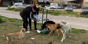 KIRIKHAN BELEDİYESİ SOKAK HAYVANLARINA SAHİP ÇIKMAYA DEVAM EDİYOR