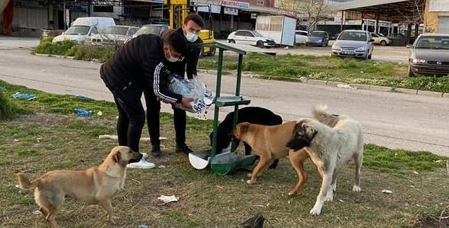 KIRIKHAN BELEDİYESİ SOKAK HAYVANLARINA SAHİP ÇIKMAYA DEVAM EDİYOR