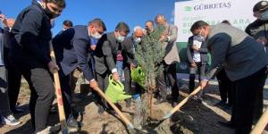 GÜBRETAŞ, Hatay’da yanan ormanlık alanlara fidan dikti