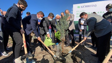 GÜBRETAŞ, Hatay’da yanan ormanlık alanlara fidan dikti