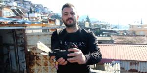Babadan miras güvercin sevdası