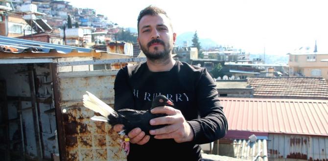 Babadan miras güvercin sevdası