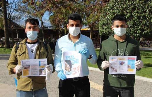 Üniversitelilerden sokak hayvanları için örnek davranış