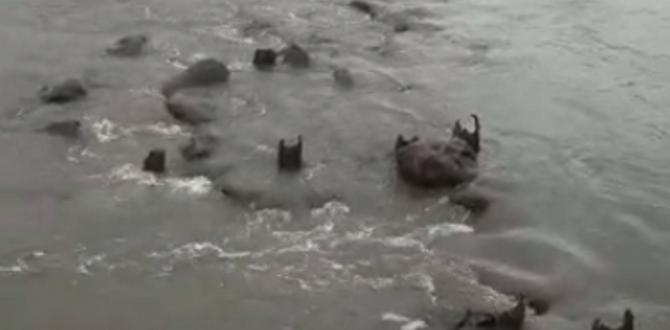 Hatay’da deniz suyu önce çekildi sonra yeniden yükseldi