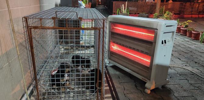 Yaralı yavru köpekler ölmekten kurtarıldı