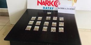 Hatay’da 156 tüp kobra zehri ele geçirildi