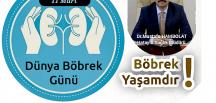 Hambolat: Böbrek sağlığınızı koruyun