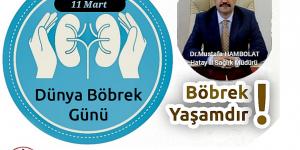 Hambolat: Böbrek sağlığınızı koruyun