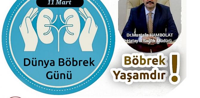 Hambolat: Böbrek sağlığınızı koruyun