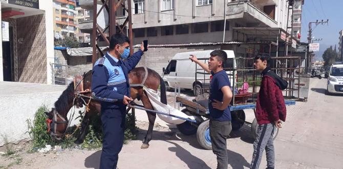 KIRIKHAN BELEDİYESİ ZABITA MÜDÜRLÜĞÜ EKİPLERİ AT ARABALARINA TAVİZ VERMİYOR