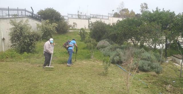 Samandağ Belediyesi İlçe Genelindeki İlaçlama Çalışmalarını Sürdürüyor