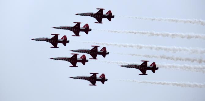 Türk Yıldızları’ndan İskenderun’da selamlama uçuşu