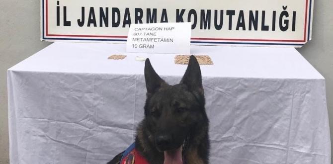 Öğrencilere uyuşturucu satan şüpheli tutuklandı