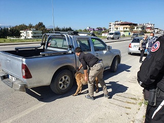 Hatay’da asayiş uygulaması