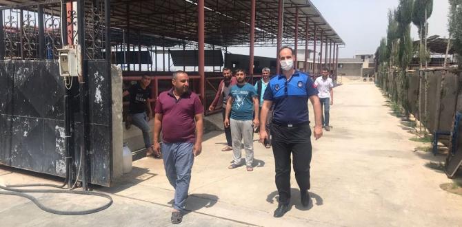 Hatay’da kaybolan 99 atla ilgili Adana’da bir ahırda arama yapıldı