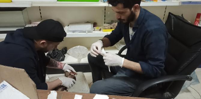 Hatay’da yaralı kaşıkgaga ördeğine polis sahip çıktı