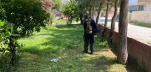 PARKLARDA ÇİM BİÇME VE BAKIM ÇALIŞMALARI