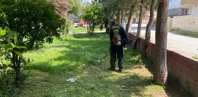 PARKLARDA ÇİM BİÇME VE BAKIM ÇALIŞMALARI