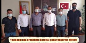Yayladağı’nda üreticilere ücretsiz çilek yetiştirme eğitimi