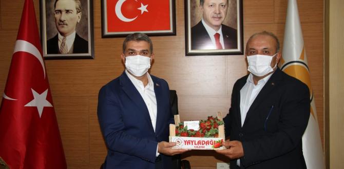 Aşkar’dan Yeşildal’a çilekli ziyaret