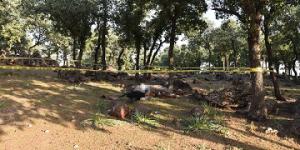 Haber alınamayan şahıs ormanlık alanda ölü bulundu