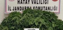 Hatay’da kaçakçılıkla mücadeleye devam