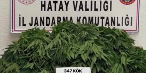 Hatay’da kaçakçılıkla mücadeleye devam