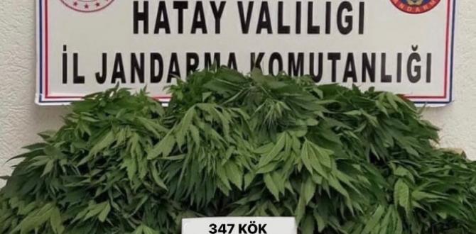Hatay’da kaçakçılıkla mücadeleye devam