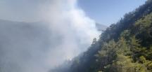 Amanos Dağları’ndaki yangın kontrol altına alındı